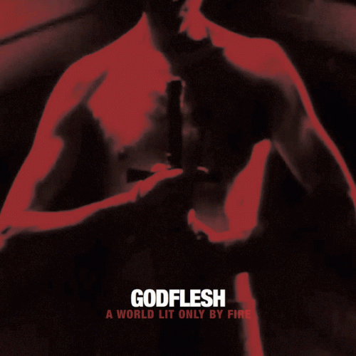 Godflesh : A World Lit Only by Fire